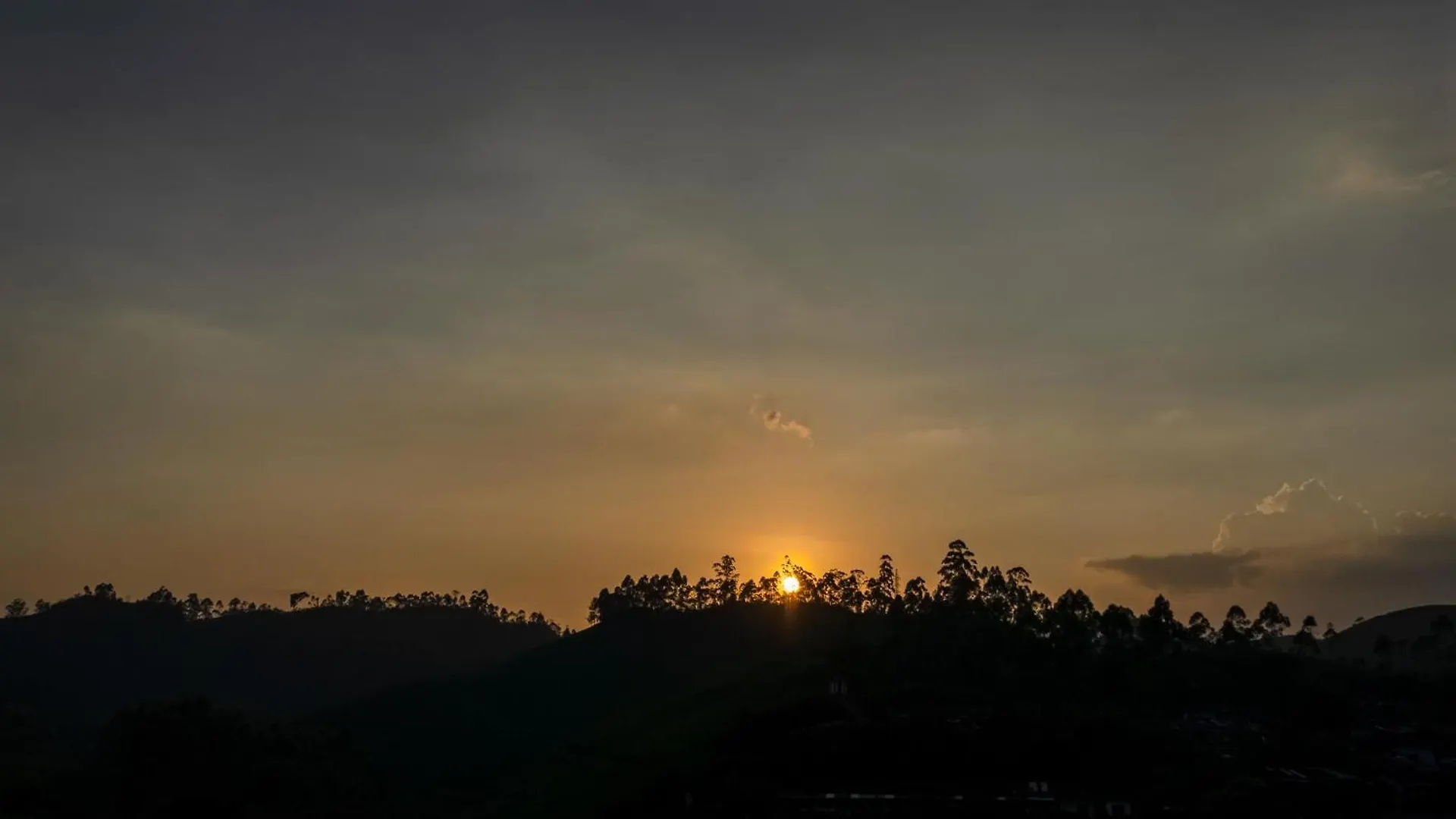 Hillview Munnar Hotel