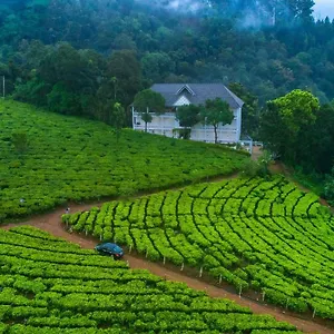 3* Station touristique Tea Harvester